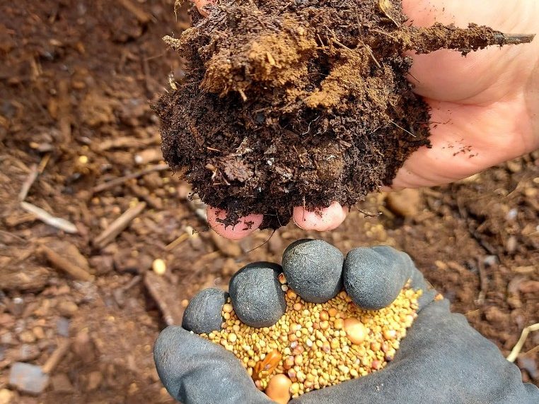 Viñedo con cubierta vegetal y flores silvestres entre hilerasViticultor en viñedo ecológico